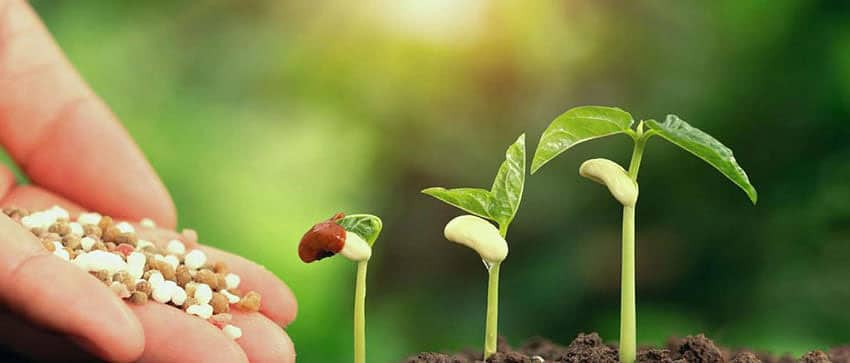 واردات اسید فسفریک کشاورزی و دامی