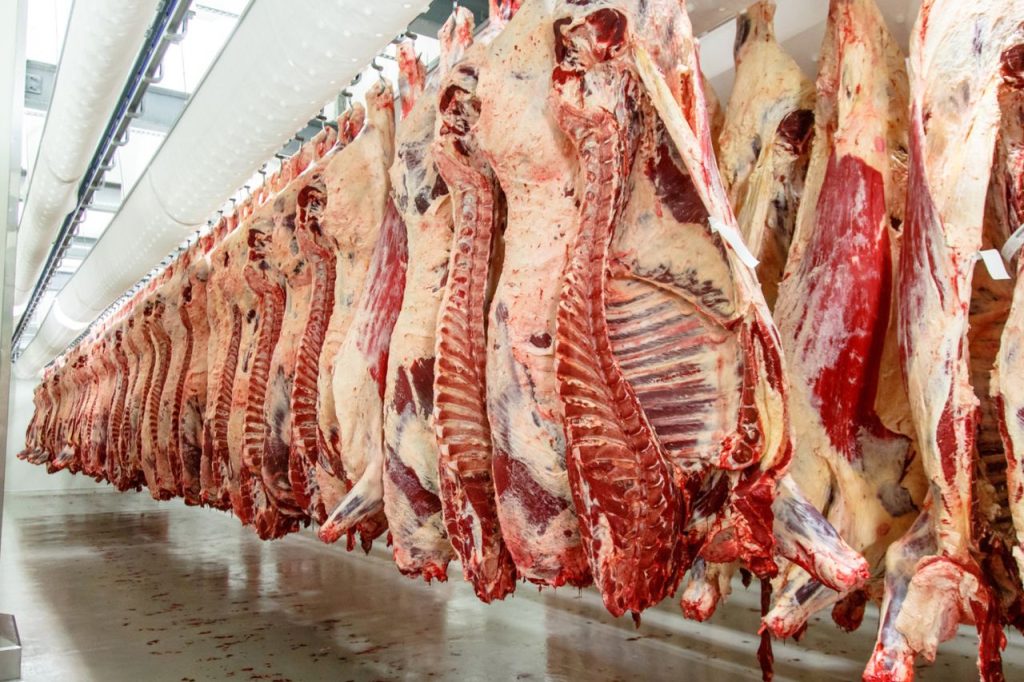 واردات دام زنده از آسیای میانه و اروپا به ایران 