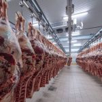 واردات دام زنده از آسیای میانه و اروپا به ایران