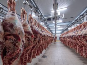 واردات دام زنده از آسیای میانه و اروپا به ایران