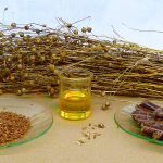 ارز ترجیحی واردات دانه‌ های روغنی ۱۴۰۴