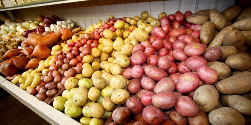 صادرات سیبزمینی و پیاز ایران