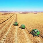 بهترین کشورها برای واردات ذرت دامی