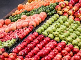 عوارض صادرات میوه سال ۱۴۰۴