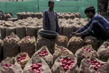 صادرات سیب‌زمینی و پیاز ایران