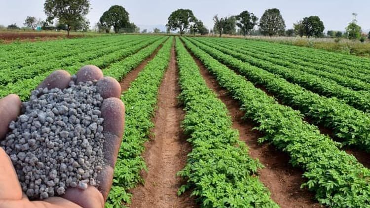 واردات اسید فسفریک کشاورزی و دامی