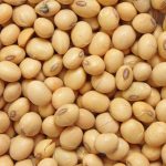 واردات کنجاله سویا یا دانه سویا