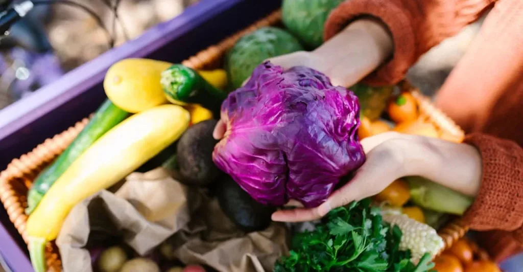 سورتینگ و بسته‌بندی سیب صادراتی