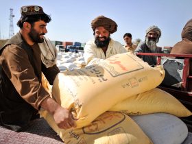 مدیریت ریسک تجارت با افغانستان