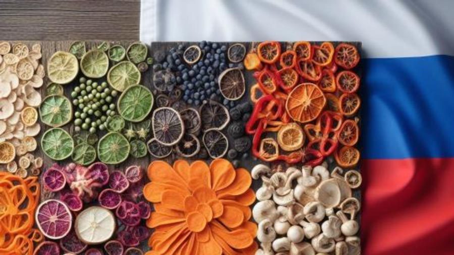 صادرات مواد غذایی به روسیه