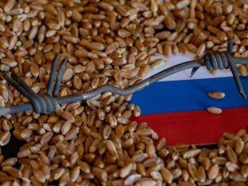 صادرات مواد غذایی به روسیه