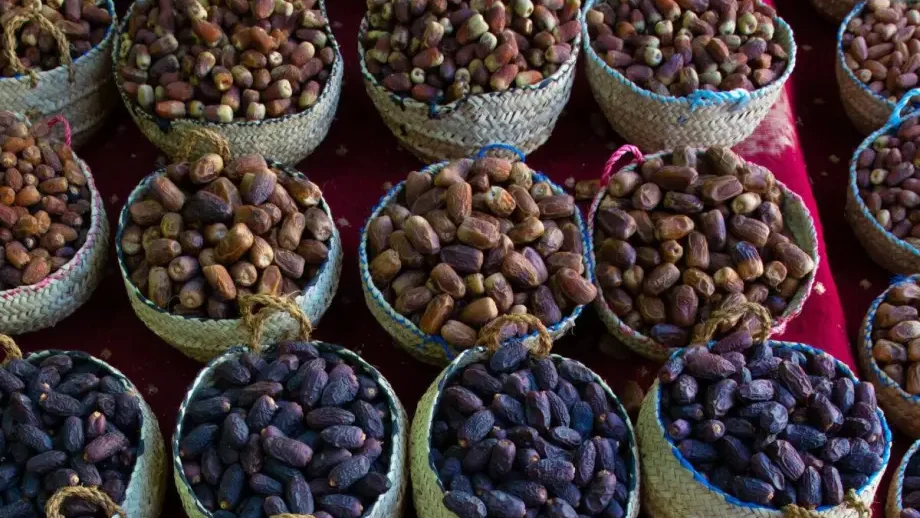 تضمین کیفیت خرما برای صادرات