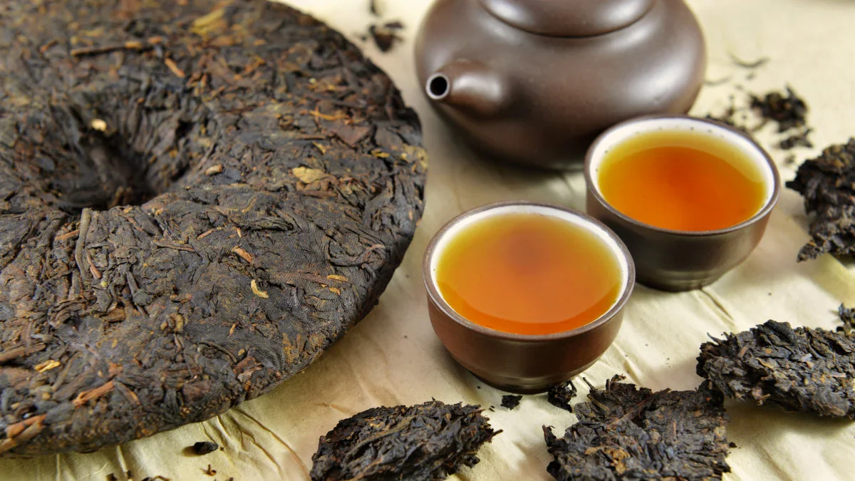 عقد قرارداد با تولیدکنندگان چای