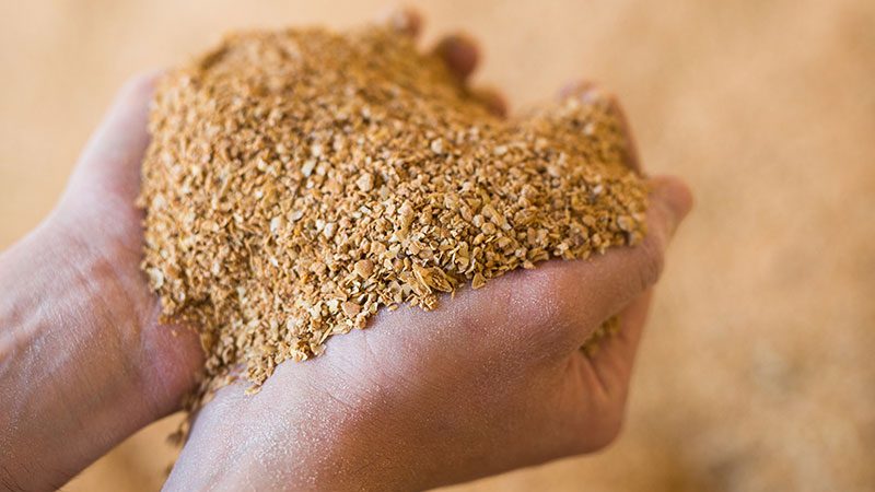 واردات کنجاله سویا یا دانه سویا