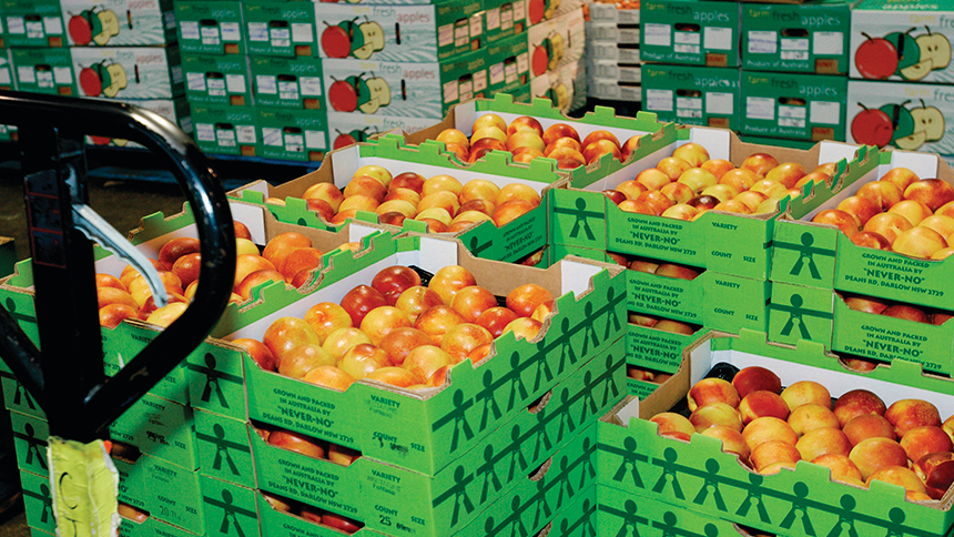 عوارض صادرات میوه سال ۱۴۰۴