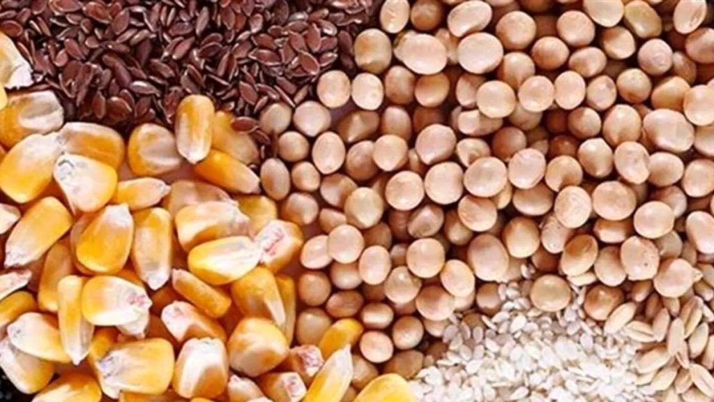 واردات کالاهای اساسی بدون انتقال ارز ۱۴۰۴