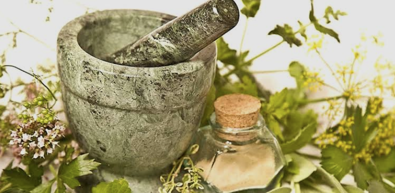 صادرات گیاهان دارویی در ۲۰۲۶