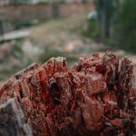 هزینه ترخیص مواد معدنی از گمرک ۱۴۰۴