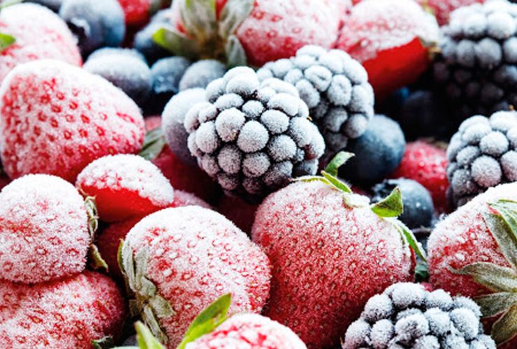 صادرات مواد غذایی به روسیه ۲۰۲۶