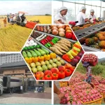 قوانین صادرات محصولات کشاورزی ۱۴۰۴