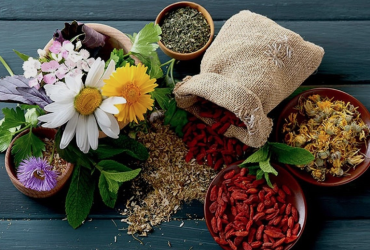 صادرات گیاهان دارویی در ۲۰۲۶