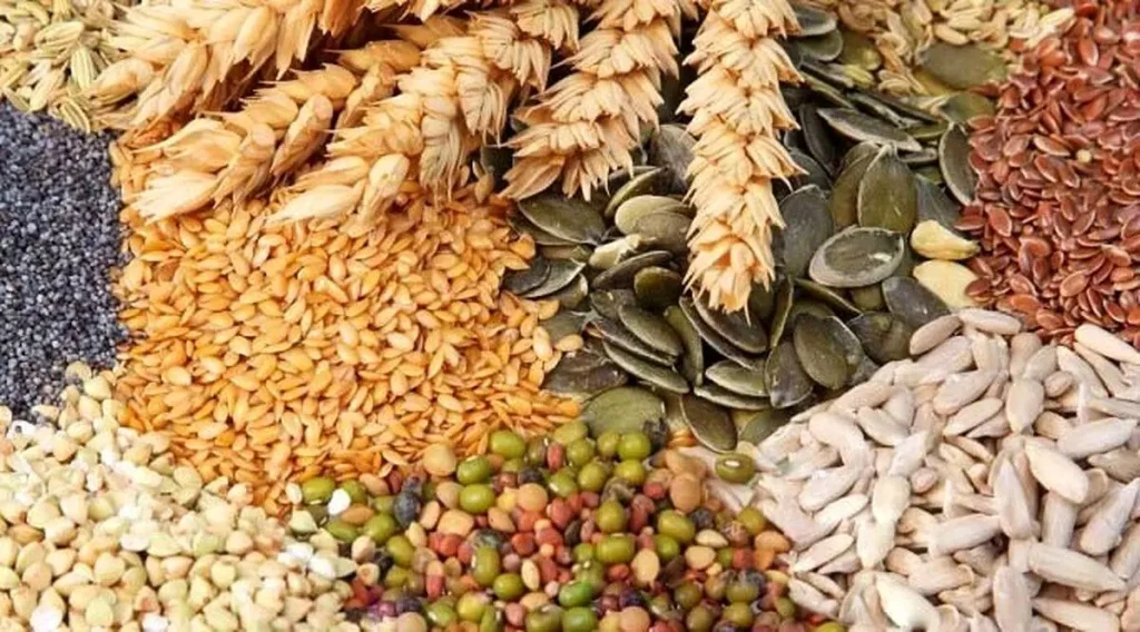 واردات کالاهای اساسی بدون انتقال ارز ۱۴۰۴