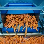 واردات ماشین‌آلات بسته‌بندی و فرآوری مواد غذایی از هند