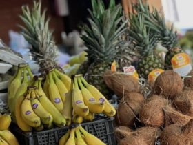 واردات میوه‌های گرمسیری در قبال صادرات در ۱۴۰۴