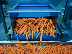 واردات ماشین‌آلات بسته‌بندی و فرآوری مواد غذایی از هند