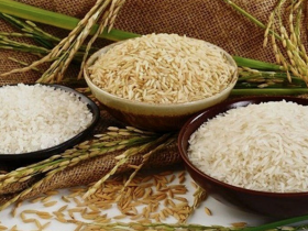 صفر تا صد واردات برنج از هند ۱۴۰۴