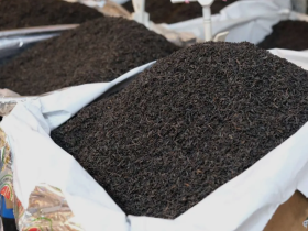 راهنمای جامع واردات چای از هند ۱۴۰۴