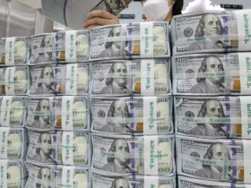 اثر نوسانات نرخ ارز اردیبهشت ۱۴۰۵