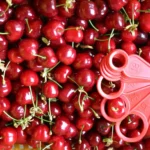 صادرات گیلاس به روسیه
