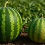 عوارض آب مجازی