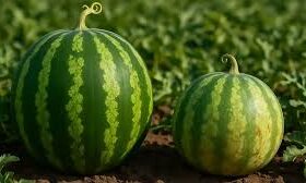 عوارض آب مجازی