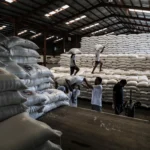 ممنوعیت فصلی واردات برنج