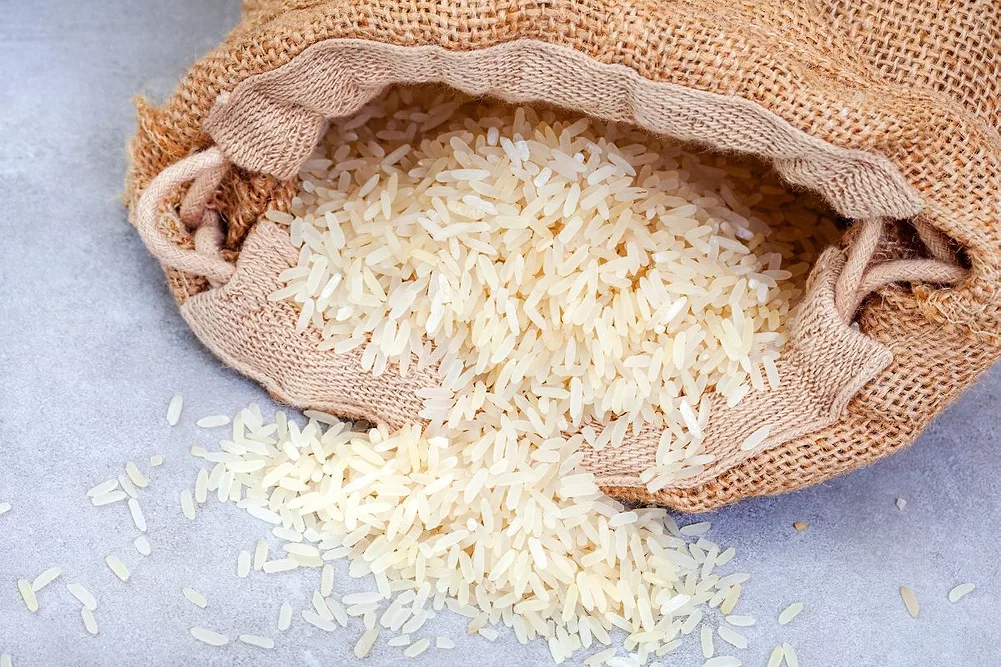 ممنوعیت فصلی واردات برنج