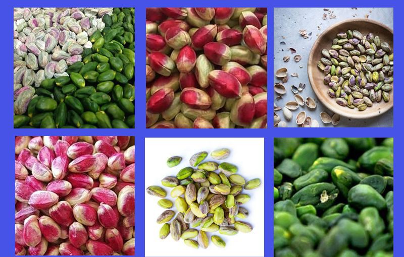 صادرات پسته کال