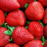 محصولات کشاورزی مجاز برای صادرات مرداد ۱۴۰۵