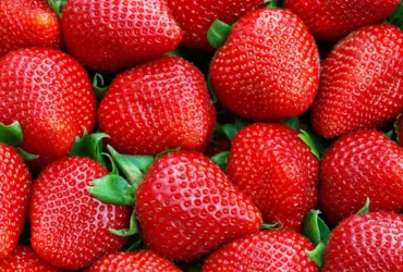 محصولات کشاورزی مجاز برای صادرات مرداد ۱۴۰۵