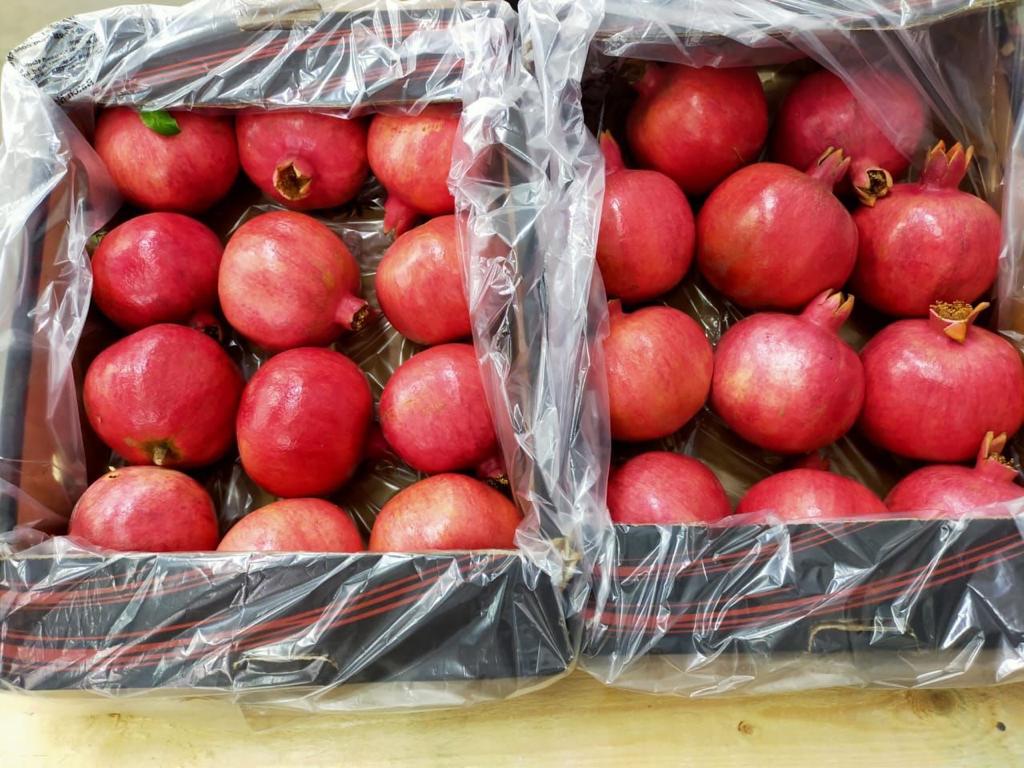 صادرات انار به روسیه