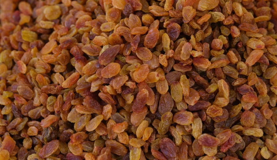 صادرات کشمش به روسیه و بازار اوراسیا